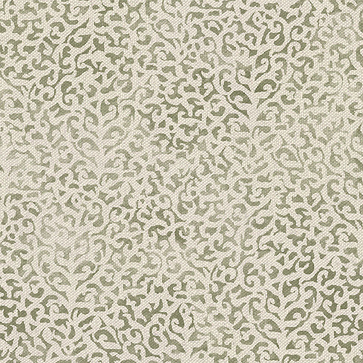 Kandesh Co-ord Olive